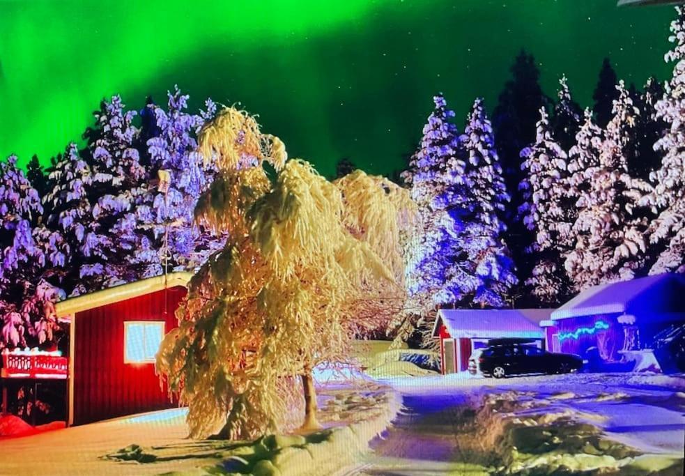 Lakeside Wilderness Cabin Jokkmokk Zewnętrze zdjęcie