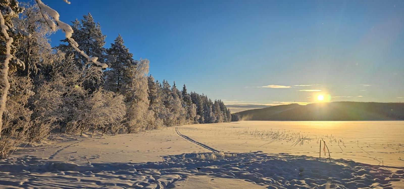 Lakeside Wilderness Cabin Jokkmokk Zewnętrze zdjęcie