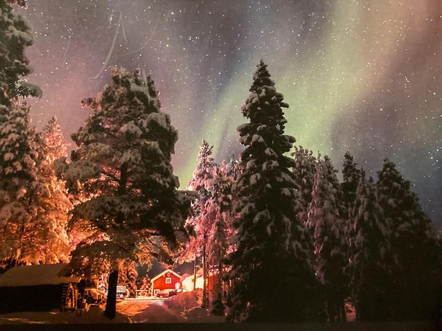 Lakeside Wilderness Cabin Jokkmokk Zewnętrze zdjęcie