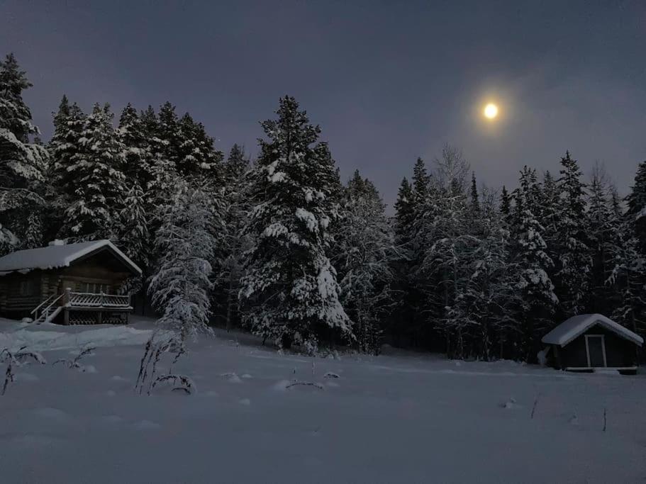 Lakeside Wilderness Cabin Jokkmokk Zewnętrze zdjęcie