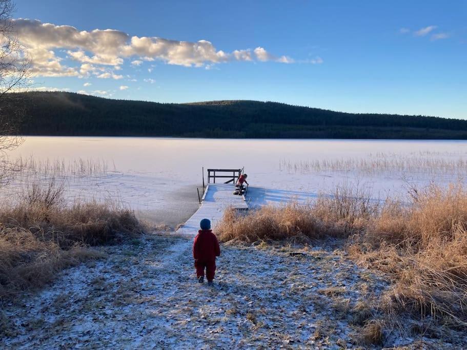 Lakeside Wilderness Cabin Jokkmokk Zewnętrze zdjęcie