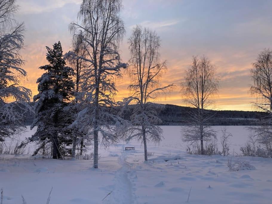 Lakeside Wilderness Cabin Jokkmokk Zewnętrze zdjęcie