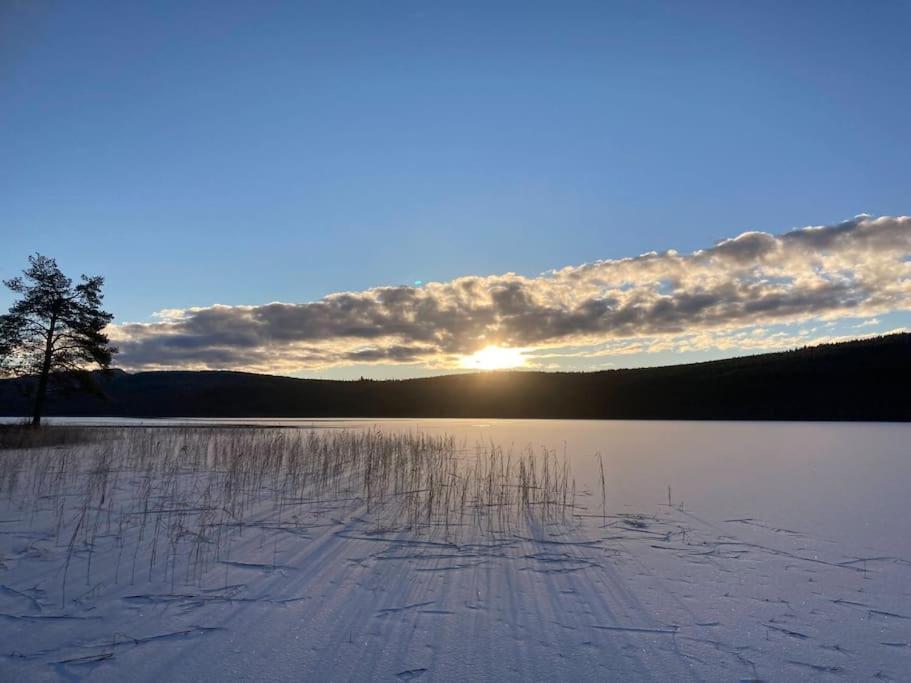 Lakeside Wilderness Cabin Jokkmokk Zewnętrze zdjęcie